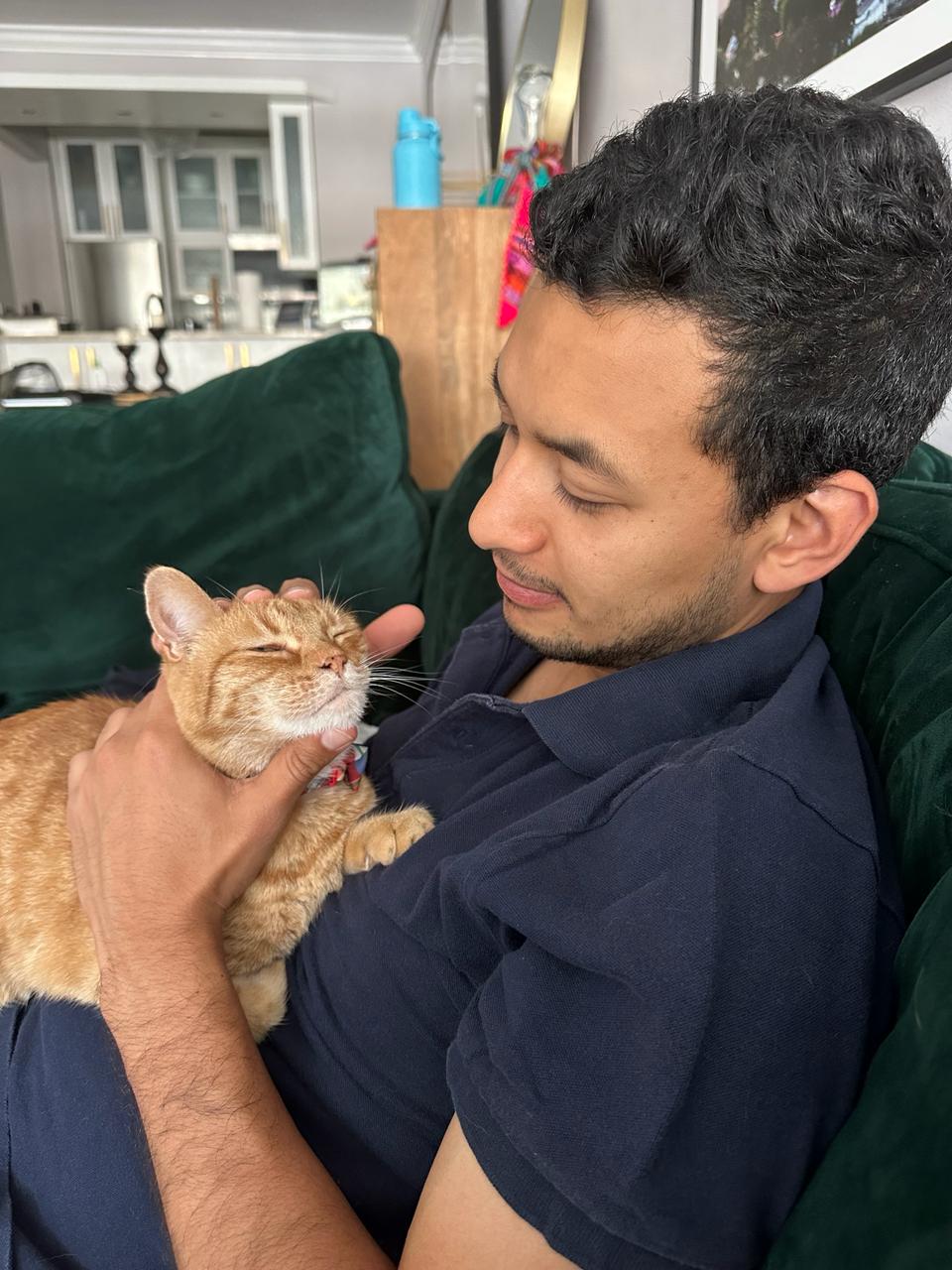 Cuidando un gato muy amoroso